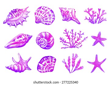 Background with seashells. Watercolor texture. Vector. 