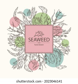 Background with seaweed, algae: aonori, monostroma, sargassum fusiform, hijiki seaweed, kombu, laminaria japonica, ahnfeltia plicata. Green, brown and red algae. Edible seaweed. Vector hand