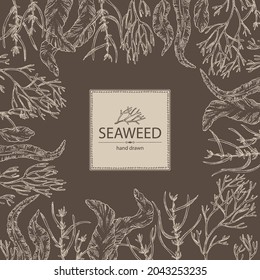 Background with seaweed, algae: aonori, monostroma, sargassum fusiform, hijiki seaweed, kombu, laminaria japonica, ahnfeltia plicata. Green, brown and red algae. Edible seaweed. Vector hand