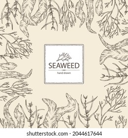 Background with seaweed, algae: aonori, monostroma, sargassum fusiform, hijiki seaweed, kombu, laminaria japonica, ahnfeltia plicata. Green, brown and red algae. Edible seaweed. Vector hand