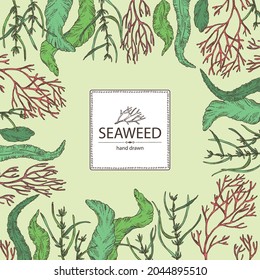 Background with seaweed, algae: aonori, monostroma, sargassum fusiform, hijiki seaweed, kombu, laminaria japonica, ahnfeltia plicata. Green, brown and red algae. Edible seaweed. Vector hand