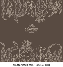 Background with seaweed, algae: aonori, monostroma, sargassum fusiform, hijiki seaweed, kombu, laminaria japonica, ahnfeltia plicata. Green, brown and red algae. Edible seaweed. Vector hand