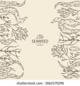 Background with seaweed, algae: aonori, monostroma, sargassum fusiform, hijiki seaweed, kombu, laminaria japonica, ahnfeltia plicata. Green, brown and red algae. Edible seaweed. Vector hand