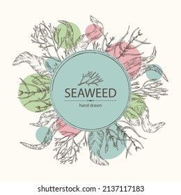 Background with seaweed, algae: aonori, monostroma, sargassum fusiform, hijiki seaweed, kombu, laminaria japonica, ahnfeltia plicata. Green, brown and red algae. Edible seaweed. Vector hand