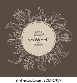 Background with seaweed, algae: aonori, monostroma, sargassum fusiform, hijiki seaweed, kombu, laminaria japonica, ahnfeltia plicata. Green, brown and red algae. Edible seaweed. Vector hand