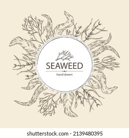 Background with seaweed, algae: aonori, monostroma, sargassum fusiform, hijiki seaweed, kombu, laminaria japonica, ahnfeltia plicata. Green, brown and red algae. Edible seaweed. Vector hand