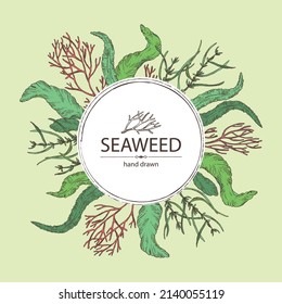 Background with seaweed, algae: aonori, monostroma, sargassum fusiform, hijiki seaweed, kombu, laminaria japonica, ahnfeltia plicata. Green, brown and red algae. Edible seaweed. Vector hand