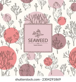 Background with seaweed, algae: irish moss, rhodymenia palmata, ahnfeltia plicata, porphyra. Brown and red algae. Edible seaweed. Vector hand drawn illustration