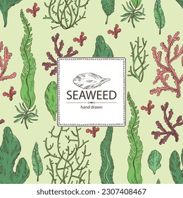 Background with seaweed, algae: laminaria, ulva seaweed, cladosiphon okamuranus, phyllophora nervosa. Green, brown and red algae. Edible seaweed. Vector hand drawn illustration
