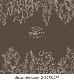Background with seaweed, algae: laminaria, ulva seaweed, cladosiphon okamuranus, phyllophora nervosa. Green, brown and red algae. Edible seaweed. Vector hand drawn illustration