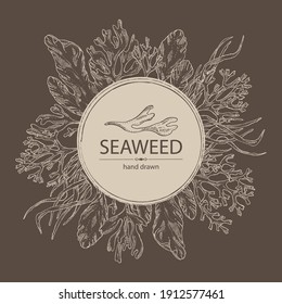 Background with seaweed, algae: ulva, enteromorpha, rhodymenia palmata,irish moss. Green and red algae. Edible seaweed. Vector hand drawn illustration