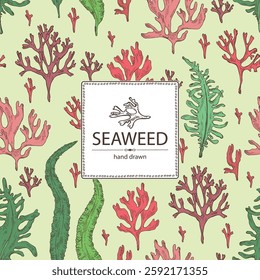 Background with seaweed, algae: undaria pinnate, wakame, kombu, rhodymenia palmata, irish moss. Green, brown and red algae. Edible seaweed. Vector hand drawn illustration