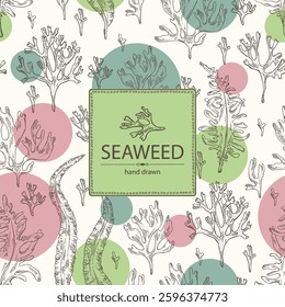 Background with seaweed, algae: undaria pinnate, wakame, kombu, rhodymenia palmata, irish moss. Green, brown and red algae. Edible seaweed. Vector hand drawn illustration