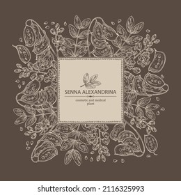 Background with senna alexandrina: leaves, senna alexandrina flowers and pod. Cosmetic, perfumery and medical plant. Vector hand drawn illustration.