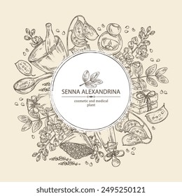 Fondo con senna alexandrina: hojas, senna alexandrina flores y vaina. Aceite, jabón y sal de baño. Cosméticos y planta médica. Vector dibujado a mano ilustración