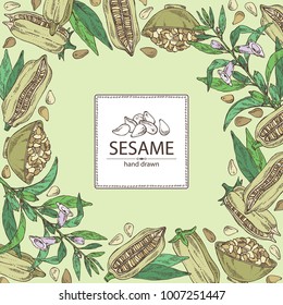 Background with sesame: sesame plant and sesame seeds Vector hand drawn illustration