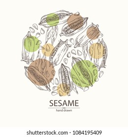Background with sesame: sesame plant and sesame seeds Vector hand drawn illustration