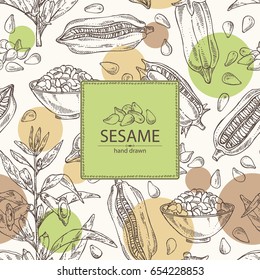 Background with sesame: sesame plant and sesame seeds Vector hand drawn illustration.