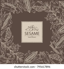 Background with sesame: sesame plant and sesame seeds Vector hand drawn illustration
