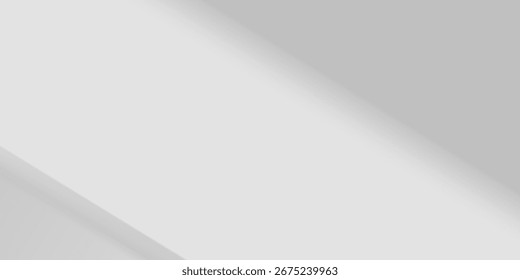 Background shadow and Nature shadows.Gray shadows trees leaf on white wall. Abstract shadows nature concept blurred background.White and Black.Texture shadows
