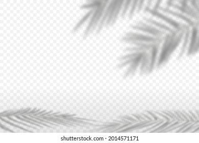 Background with the shadow of a palm tree.