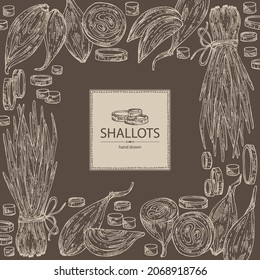 Background with shallot: rings, full onion shallots and onion slices. Vector hand drawn illustration. 