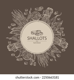 Background with shallot: rings, full onion shallots and onion slices. Vector hand drawn illustration. 