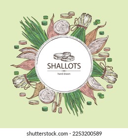 Fondo con ranura: anillos, chalotes de cebolla y rodajas de cebolla. Ilustración dibujada a mano por vectores. 