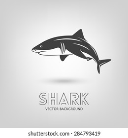 Background with shark monochrome logo. Vector EPS10 illustration. 