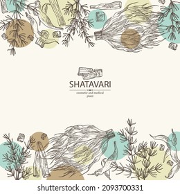 Hintergrund mit Shatavari: Shatavari-Wurzel, Pflanze und Blätter. Protasparagus racemosus. Kosmetische und medizinische Pflanze. handgezeichnete Vektorgrafik