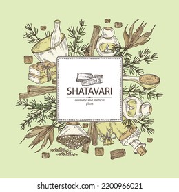 Background with shatavari: shatavari root, plant and leaves. Protasparagus racemosus.  Oil, soap and bath salt . Cosmetics and medical plant. Vector hand drawn illustration