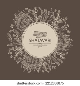 Background with shatavari: shatavari root, plant and leaves. Protasparagus racemosus. Cosmetic and medical plant. Vector hand drawn illustration