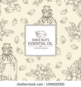 Background with shea nut and bottle of shea nut essential oil. Cosmetic, perfumery and medical plant. Vector hand drawn