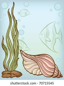 background with shell and fishes