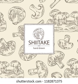 Background with shiitake: mushroom and a bit of shiitake. Mushroom. Vector hand drawn illustration