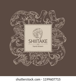 Background with shiitake: mushroom and a bit of shiitake. Mushroom. Vector hand drawn illustration