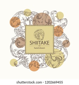 Background with shiitake: mushroom and a bit of shiitake. Mushroom. Vector hand drawn illustration