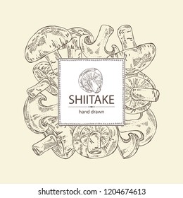 Background with shiitake: mushroom and a bit of shiitake. Mushroom. Vector hand drawn illustration