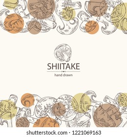Background with shiitake: mushroom and a bit of shiitake. Mushroom. Vector hand drawn 
