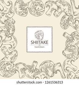 Background with shiitake: mushroom and a bit of shiitake. Mushroom. Vector hand drawn illustration.