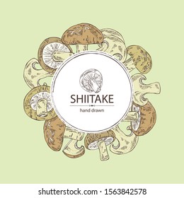 Background with shiitake: mushroom and a bit of shiitake. Mushroom. Vector hand drawn illustration