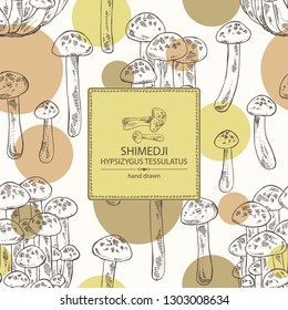Background with shimedji: hypsizygus tessulatus mushroom . Mushroom. Vector hand drawn illustration