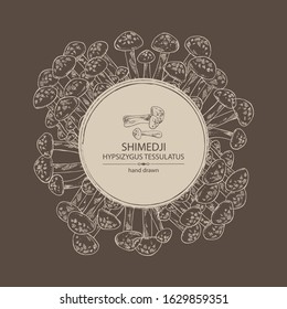 Background with shimedji: hypsizygus tessulatus mushroom . Mushroom. Vector hand drawn illustration