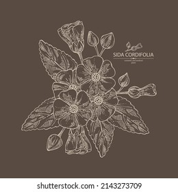 Background with sida cordifolia: sida cordifolia plant, bala leaves and sida cordifolia flowers. Bala. Cosmetic, perfumery and medical plant. Vector hand drawn illustration.