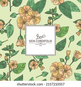 Background with sida cordifolia: sida cordifolia plant, bala leaves and sida cordifolia flowers. Bala. Cosmetic, perfumery and medical plant. Vector hand drawn illustration.