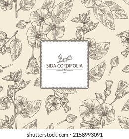 Background with sida cordifolia: sida cordifolia plant, bala leaves and sida cordifolia flowers. Bala. Cosmetic, perfumery and medical plant. Vector hand drawn illustration.