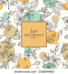 Background with sida cordifolia: sida cordifolia plant, bala leaves and sida cordifolia flowers. Bala. Cosmetic, perfumery and medical plant. Vector hand drawn illustration.