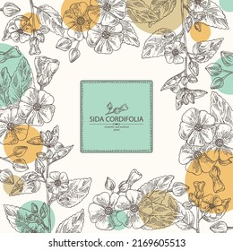 Background with sida cordifolia: sida cordifolia plant, bala leaves and sida cordifolia flowers. Bala. Cosmetic, perfumery and medical plant. Vector hand drawn illustration.