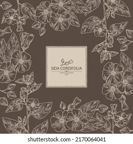 Background with sida cordifolia: sida cordifolia plant, bala leaves and sida cordifolia flowers. Bala. Cosmetic, perfumery and medical plant. Vector hand drawn illustration.