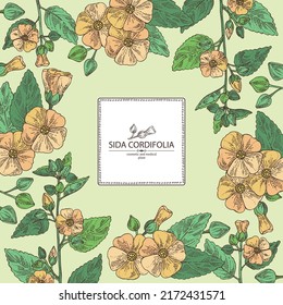 Background with sida cordifolia: sida cordifolia plant, bala leaves and sida cordifolia flowers. Bala. Cosmetic, perfumery and medical plant. Vector hand drawn illustration.